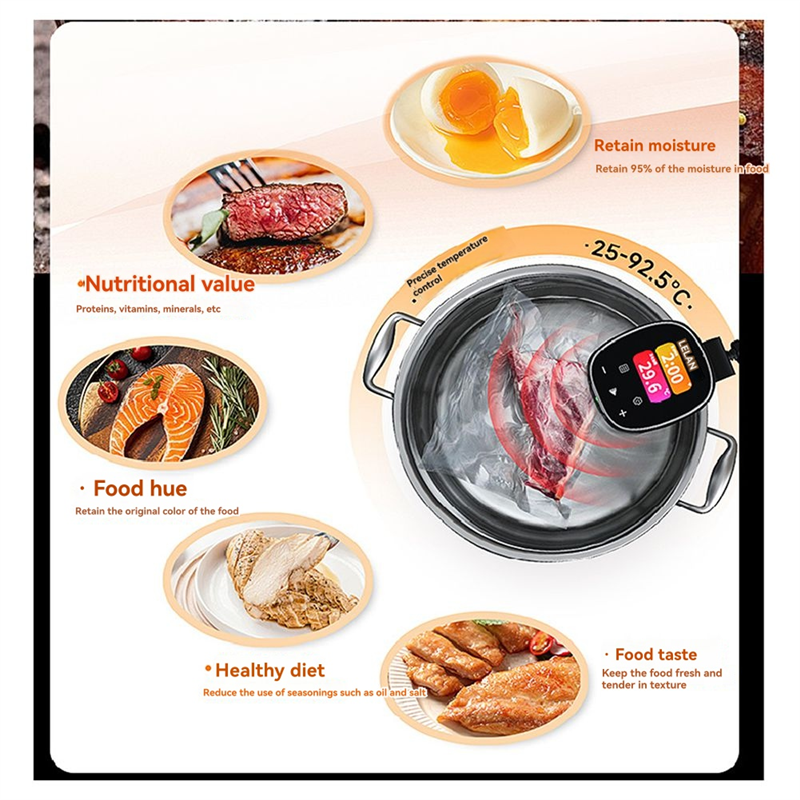 A98I-Precision Sous Vide Cooke - Uk Home Cooking recensie en prijs