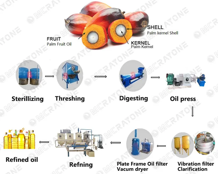 Palm Oil Extraction Machine Co - Home Cooking Oil Making Machine recensie en prijs