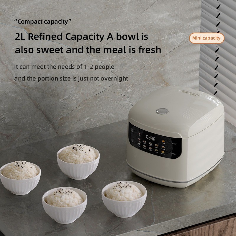 2026 new home110V/220V US /EU/ - Uk Home Cooking recensie en prijs